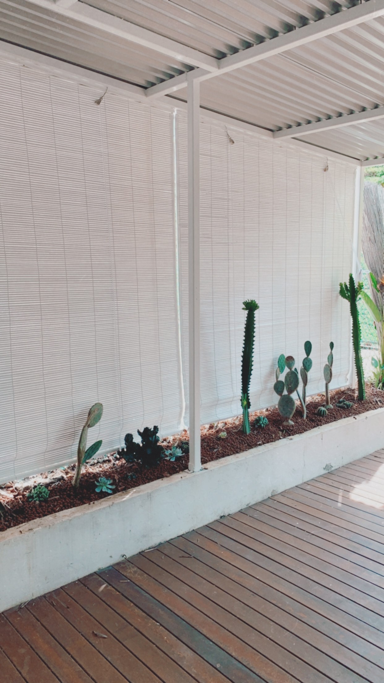 Outdoor Bamboo Blind - 1 Colour