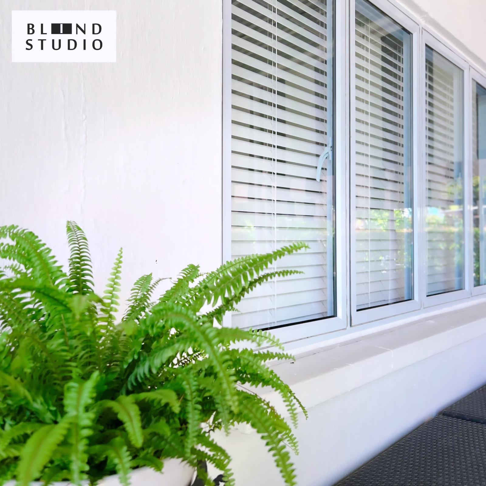 White Venetian Blinds